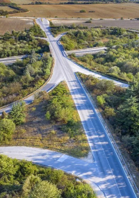 Estrada de asfalto cercada por árvores